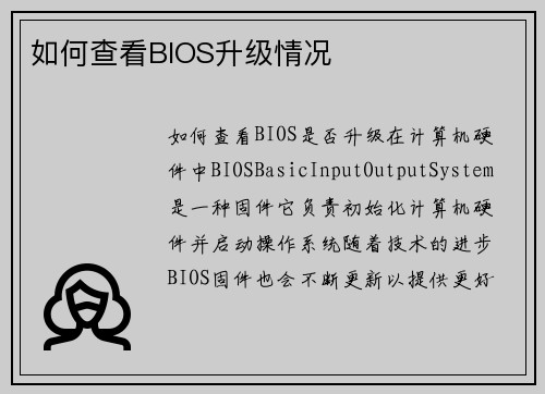 如何查看BIOS升级情况